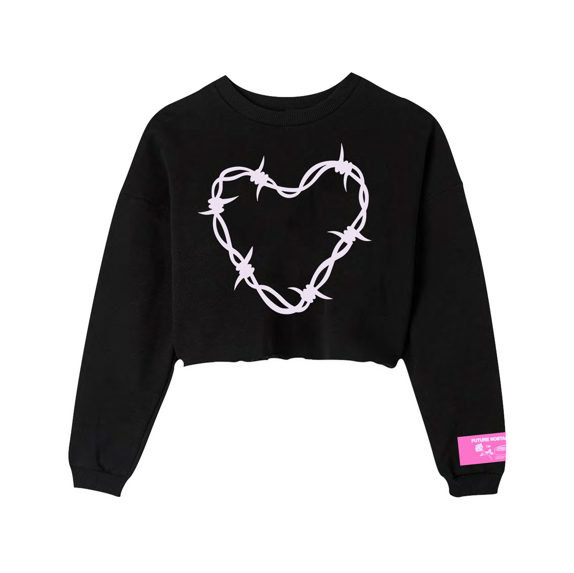 Barbwire Heart Crop Sweatshirt